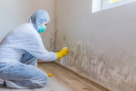 Why You Should Choose Our Mold Remediation Services in Horn Lake, MS