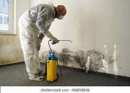 Best Mold Remediation for Healthcare Facilities in Horn Lake, MS